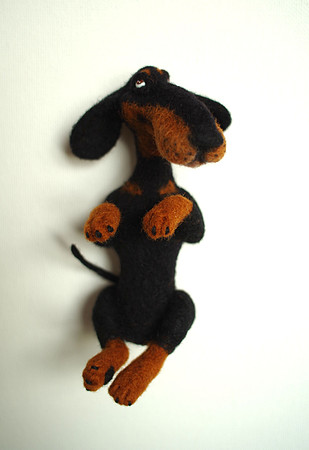 Dachshund Rex