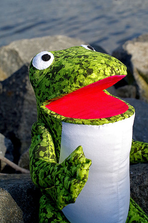 Frog