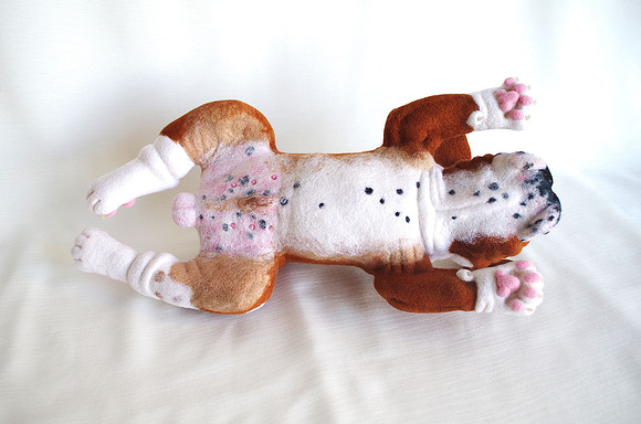 Bulldog puppy