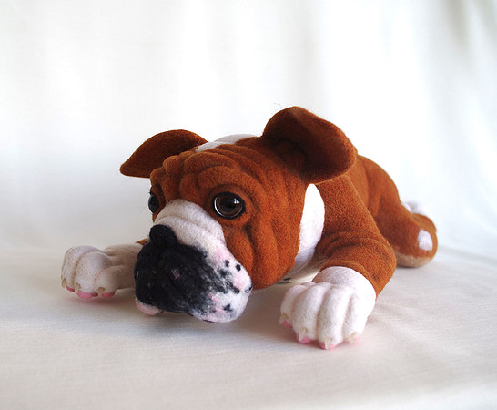 Bulldog puppy