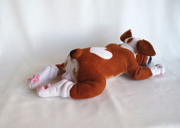 Bulldog puppy