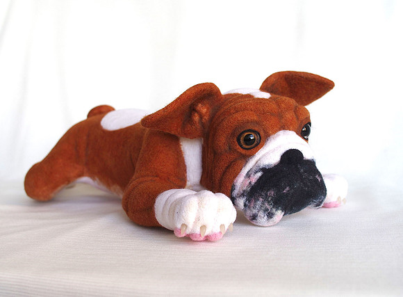 Bulldog puppy