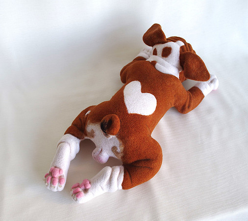 Bulldog puppy
