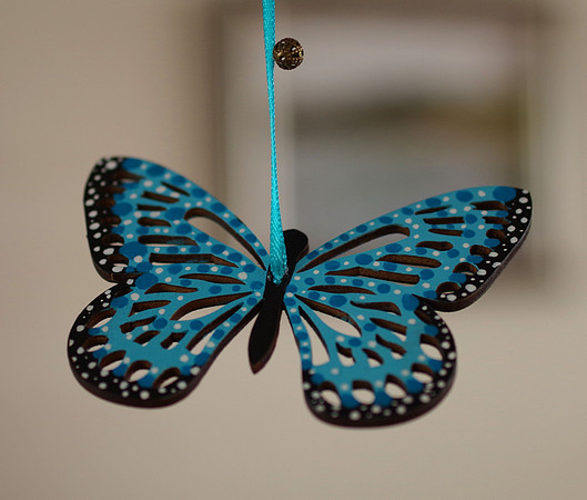Moon Butterflies