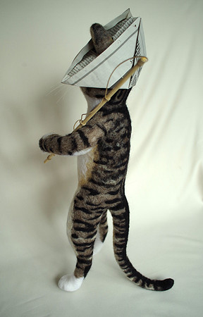Tomas cat