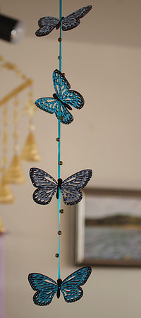 Moon Butterflies