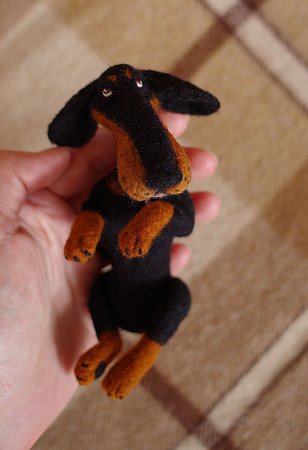 Dachshund Rex