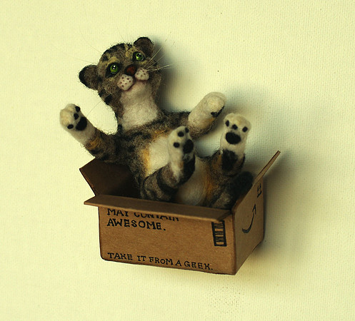 Cat in box
