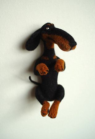 Dachshund Rex