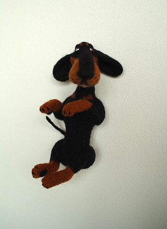 Dachshund Rex